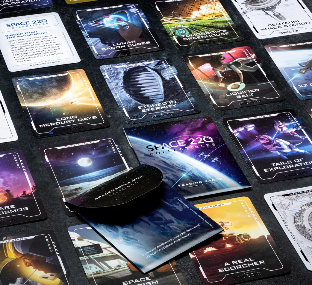 ワールドレップサービス　アースカード　新品未開封　EARTH CARD ワールドレップサービス アースカード 新品未開封 EARTH CARD