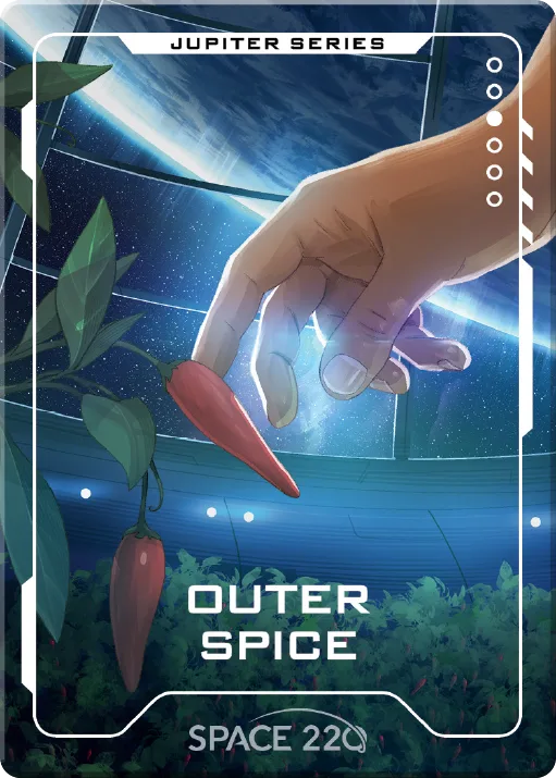 Front of Outer spice
